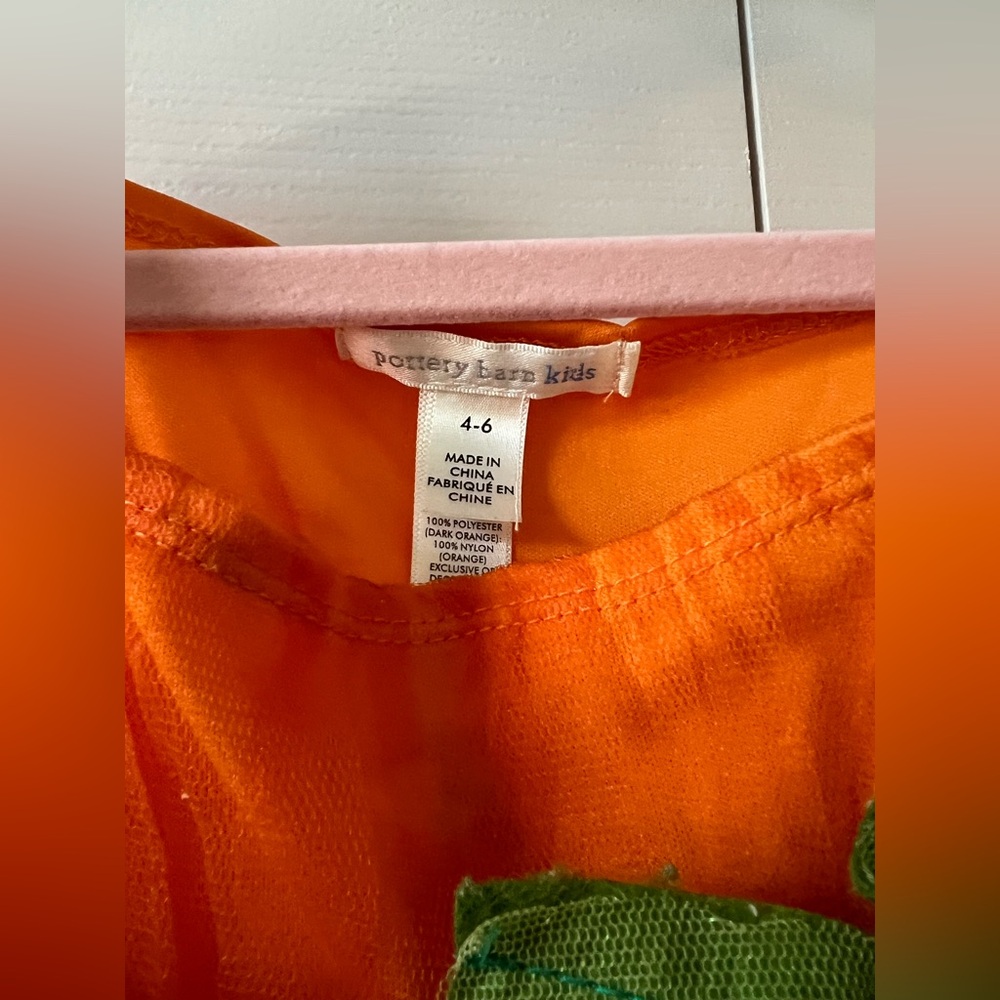 Pottery Barn kids pumpkin costume (Size 4-6) - Picture 4 of 4
